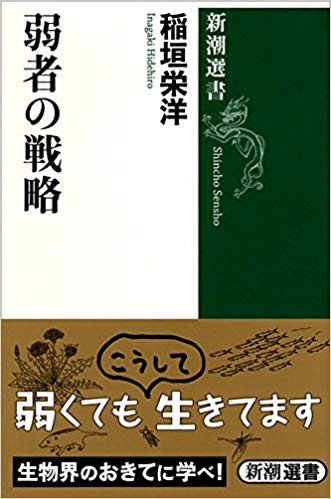 私の本棚 11